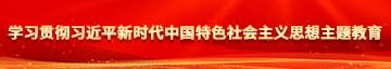 偷偷操在线学习贯彻习近平新时代中国特色社会主义思想主题教育